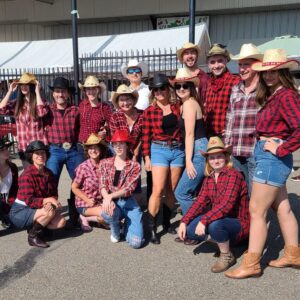 Beginner-Friendly Country